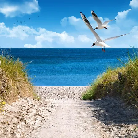 Vital 4 Inklusive Waeschepaket Und Urlaubsschutz *